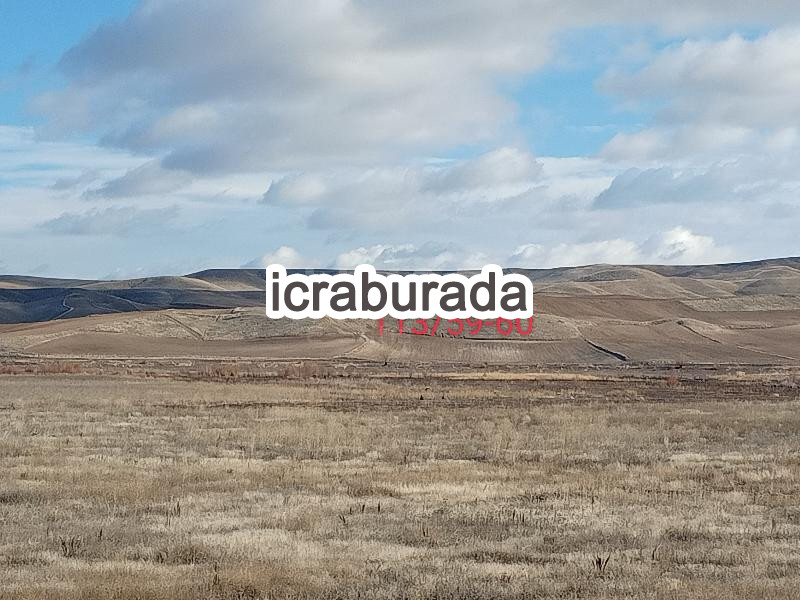 icralık  m2 Tarla Çorum Alaca Yenice