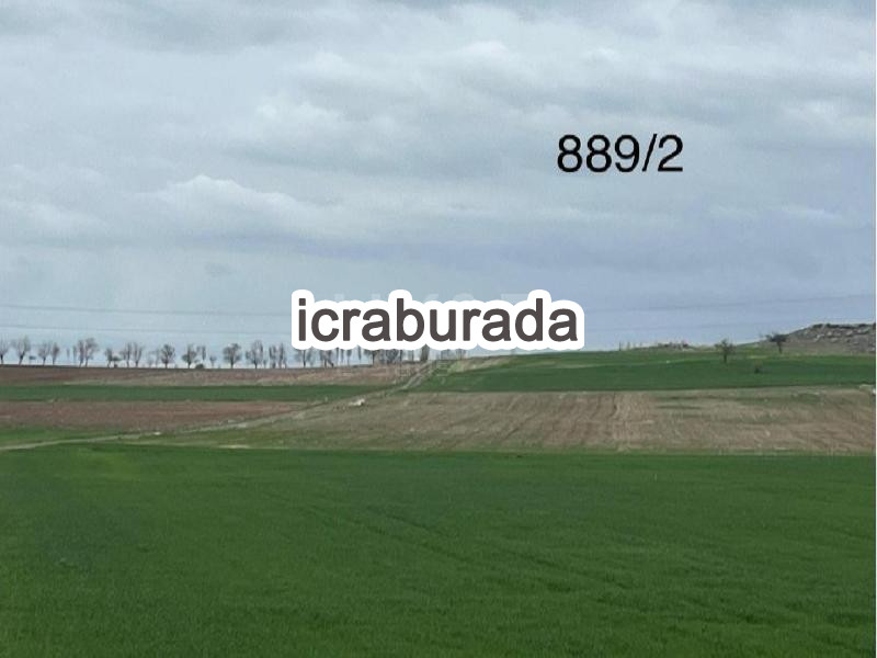 icralık  m2 Tarla Kayseri Bünyan Yavuzselim