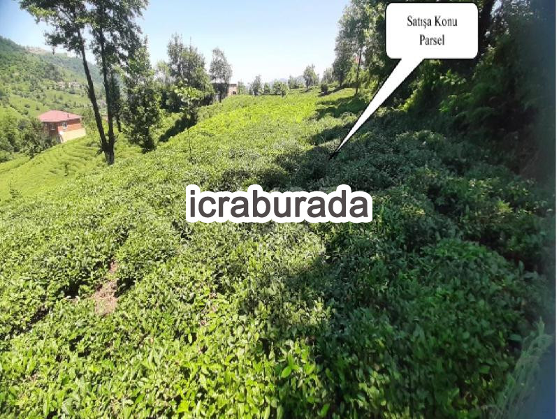 icralık  m2 Arsa Rize Merkez Kocatepe
