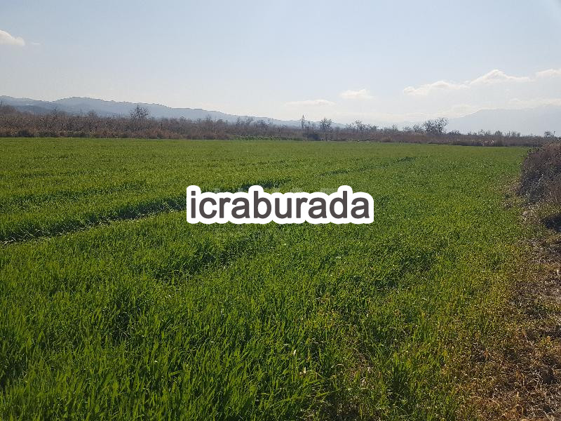 icralık  m2 Tarla Denizli Pamukkale Küçükdere