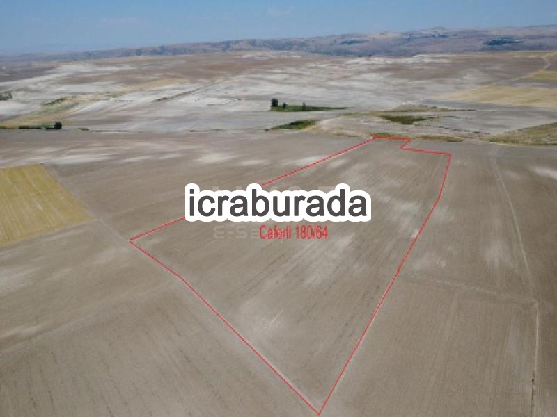 icralık  m2 Tarla Yozgat Şefaatli Caferli