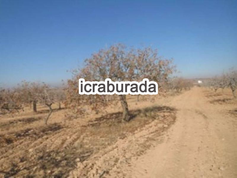 icralık  m2 Bag Gaziantep Karkamış Yazir