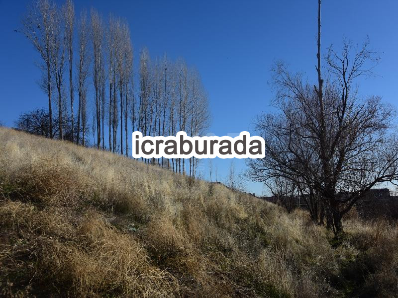 icralık  m2 Arsa Bitlis Ahlat İkikubbe