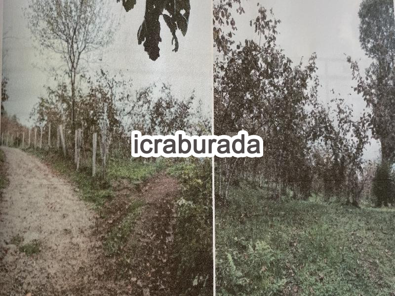 icralık  m2 Arsa Belirtilmedi Belirtilmedi Belirtilmedi