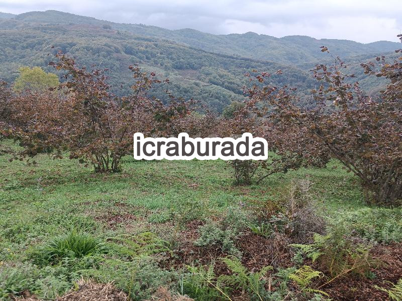 icralık  m2 Daire Belirtilmedi Belirtilmedi Belirtilmedi