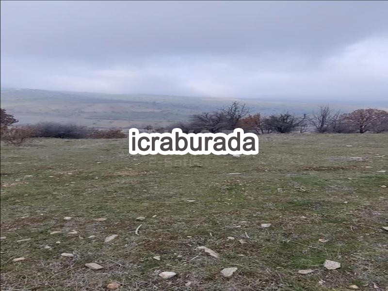 icralık  m2 Tarla Manisa Kula Gökçeören/dere