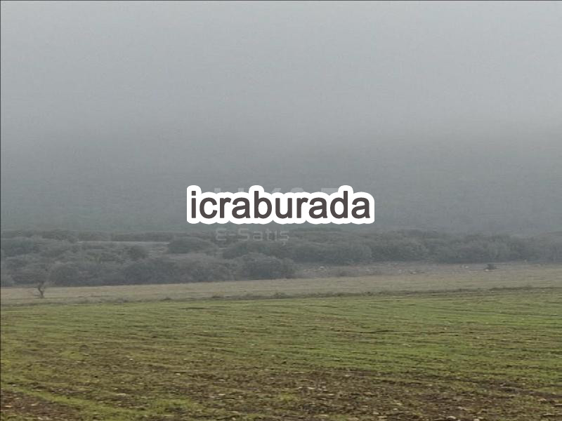 icralık  m2 Tarla Manisa Kula Gökçeören/kale
