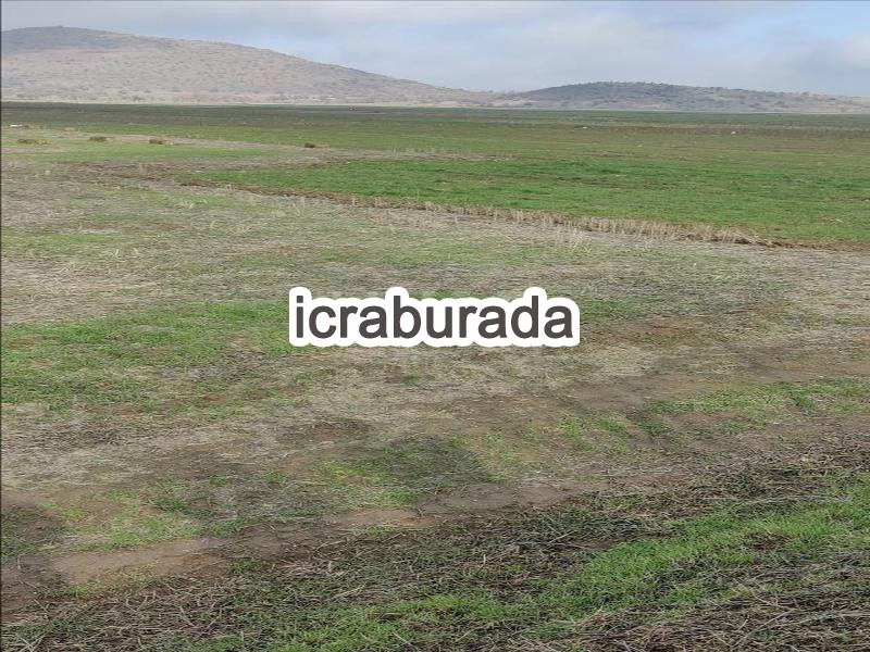 icralık  m2 Tarla Manisa Kula Gökçeören/kale