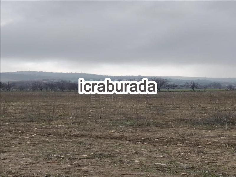 icralık  m2 Tarla Manisa Kula Gökçeören/ikioluklu