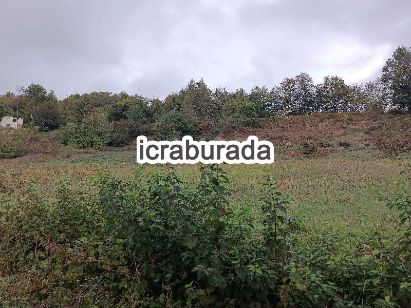 icralık  m2 Tarla Belirtilmedi Belirtilmedi Belirtilmedi
