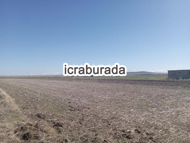 icralık  m2 Tarla Niğde Merkez Hasaköy