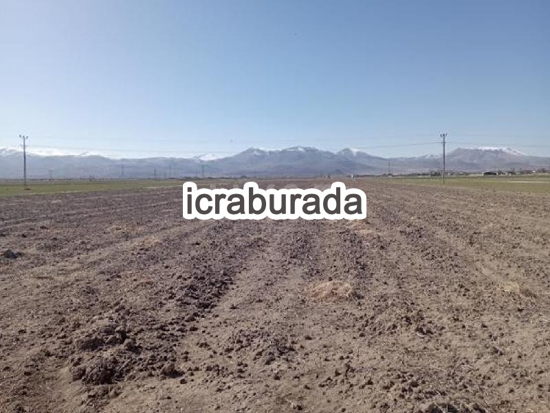 icralık  m2 Tarla Niğde Merkez Hasaköy