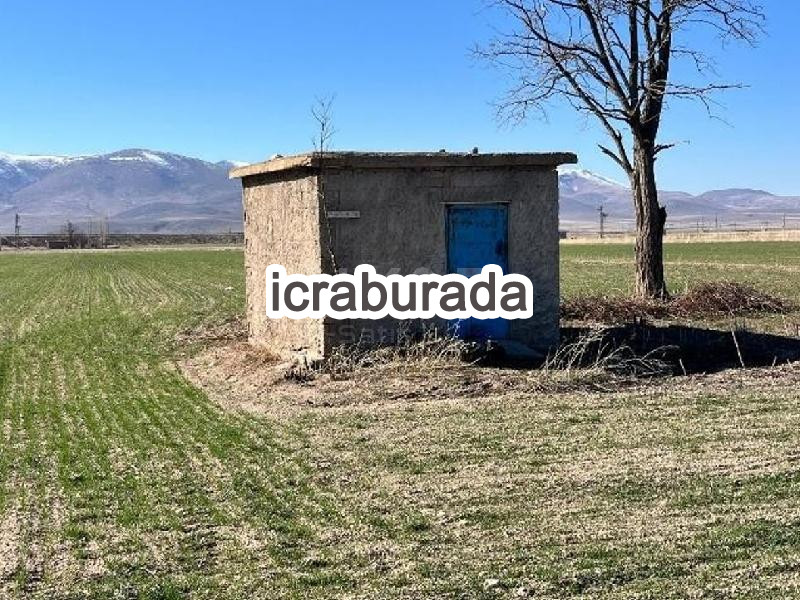 icralık  m2 Tarla Niğde Merkez Hasaköy