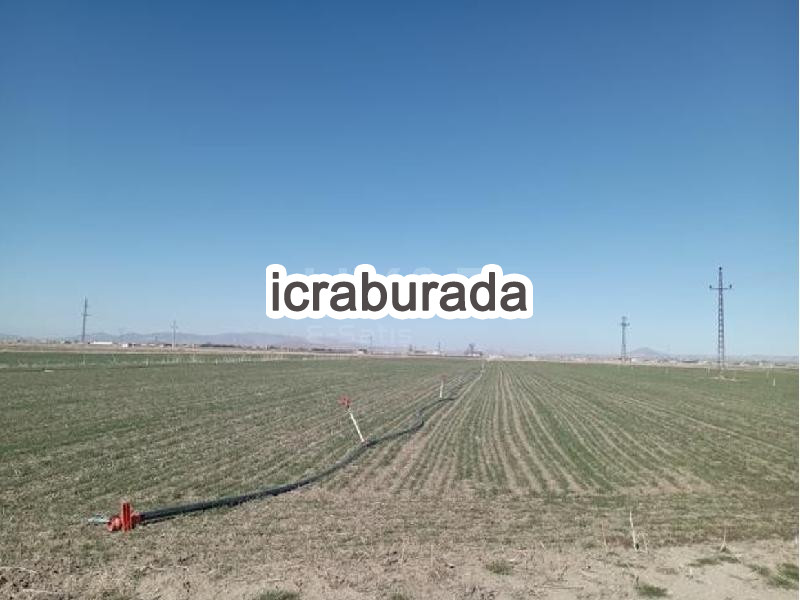 icralık  m2 Tarla Niğde Merkez Hasaköy