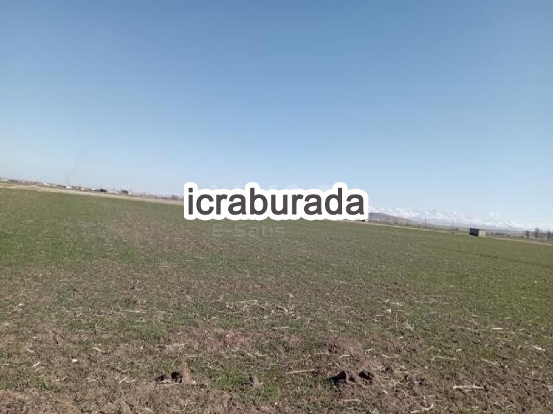 icralık  m2 Tarla Niğde Merkez Hasaköy