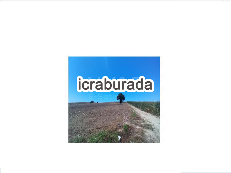icralık  m2 Tarla Adana Yumurtalık Tahiriye