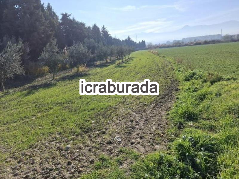 icralık  m2 Tarla Denizli Sarayköy Bala