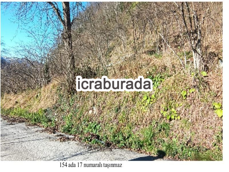 icralık  m2 Tarla Giresun Bulancak Gündoğdu