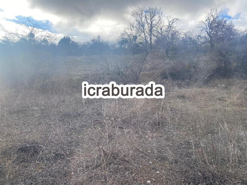 icralık  m2 Tarla Konya Beyşehir Üzümlü