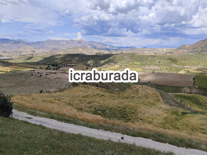 icralık  m2 Tarla Elazığ Merkez Kaplikaya (Zarik)