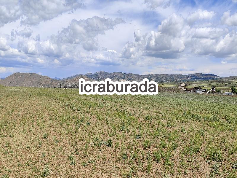 icralık  m2 Tarla Elazığ Merkez Kaplikaya (Zarik)