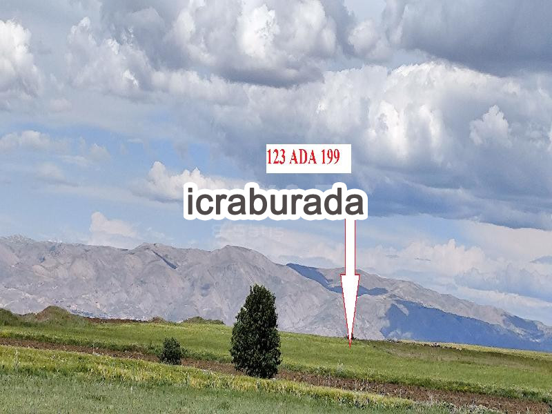 icralık  m2 Tarla Elazığ Merkez Kaplikaya (Zarik)