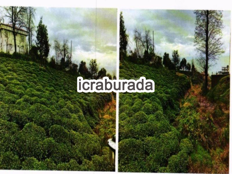 icralık  m2 Tarla Rize Ardeşen Müftü