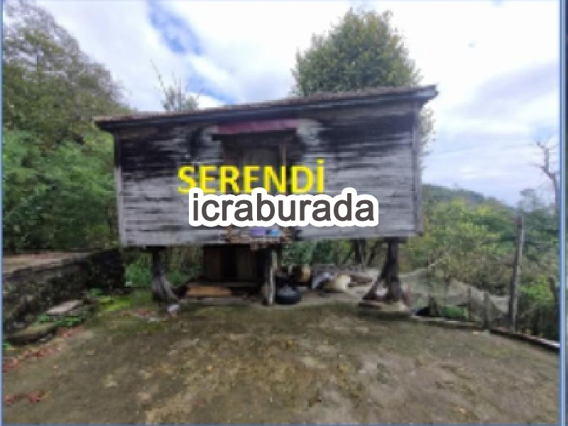 icralık  m2 Diger Ordu Perşembe Babali