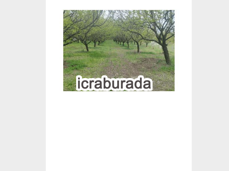 icralık  m2 Tarla Malatya Kale Kiyicak