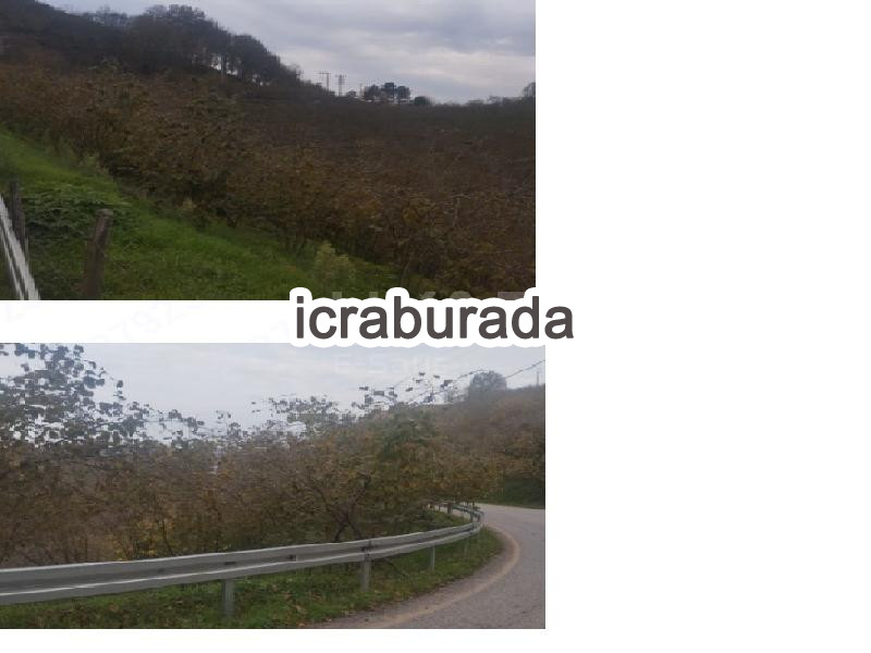 icralık  m2 Tarla Sakarya Hendek Dereköy