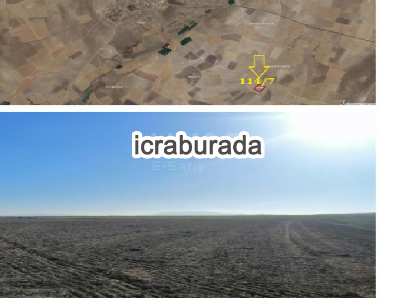 icralık  m2 Tarla Kırşehir Merkez Dedeli