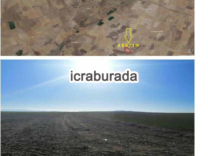 icralık  m2 Tarla Kırşehir Merkez Dedeli