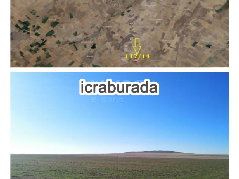 icralık  m2 Tarla Kırşehir Merkez Dedeli