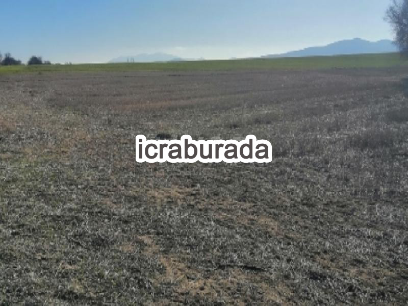 icralık  m2 Tarla Kırşehir Merkez Dedeli