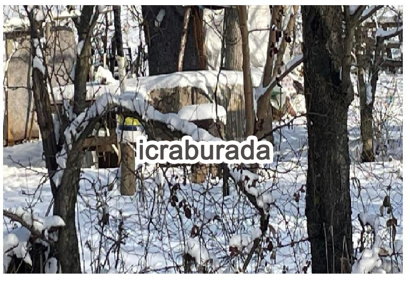 icralık  m2 Tarla Tokat Almus İstiklal