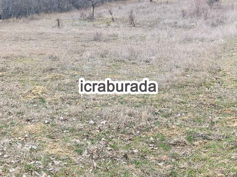 icralık  m2 Tarla Uşak Banaz Halaçlar