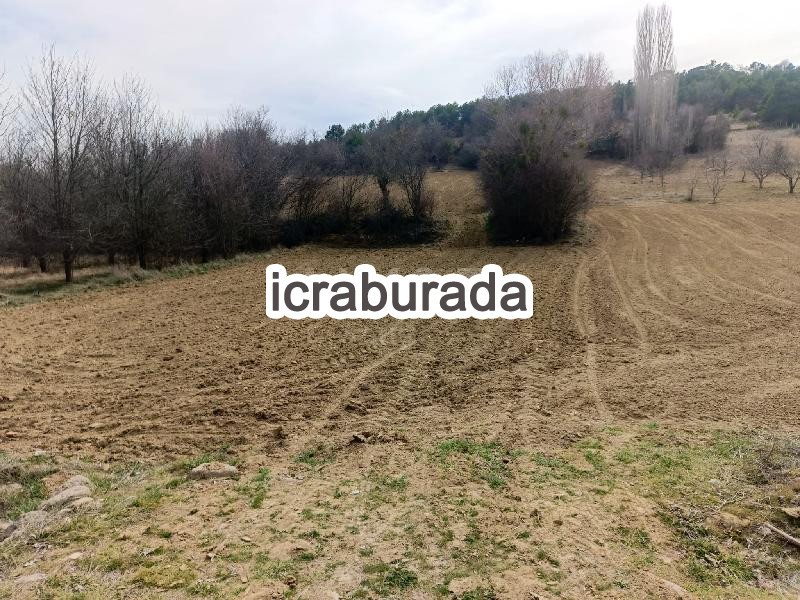 icralık  m2 Tarla Uşak Banaz Halaçlar