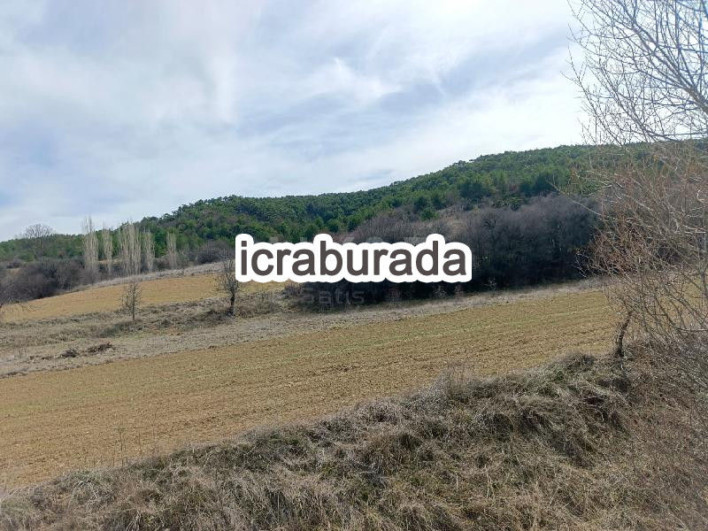 icralık  m2 Tarla Uşak Banaz Halaçlar