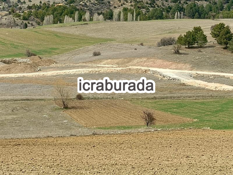 icralık  m2 Tarla Uşak Banaz Halaçlar