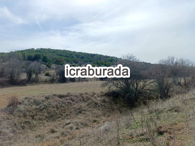 icralık  m2 Tarla Uşak Banaz Halaçlar