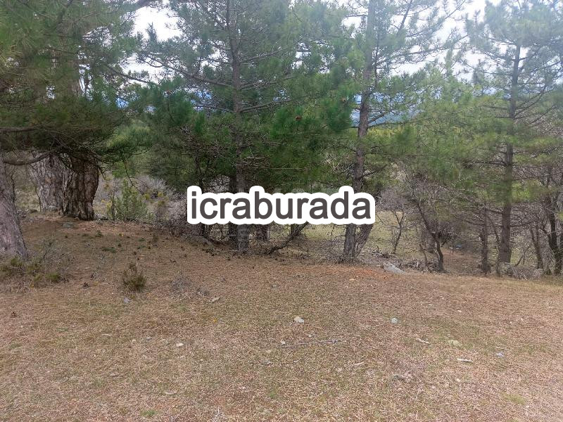 icralık  m2 Tarla Uşak Banaz Halaçlar