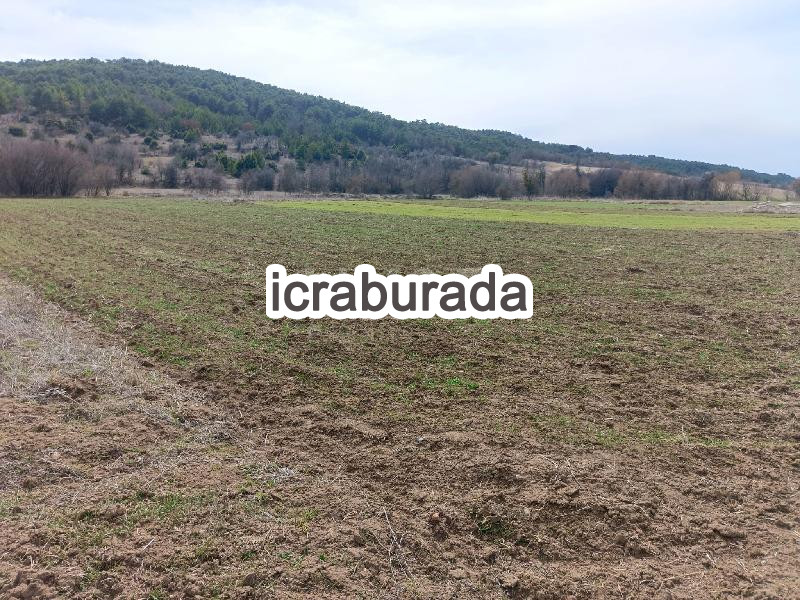 icralık  m2 Tarla Uşak Banaz Halaçlar