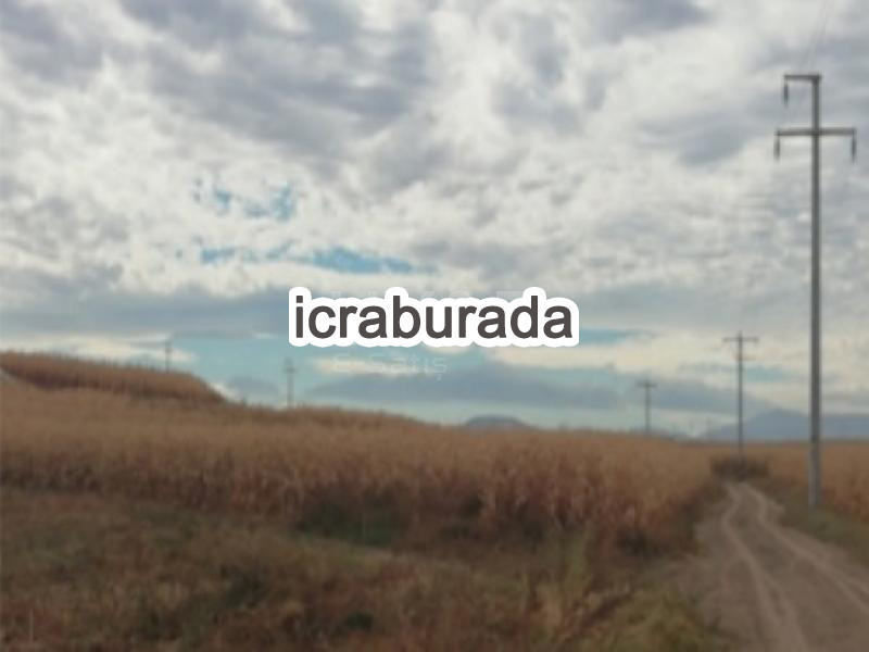icralık  m2 Tarla Belirtilmedi Belirtilmedi Belirtilmedi