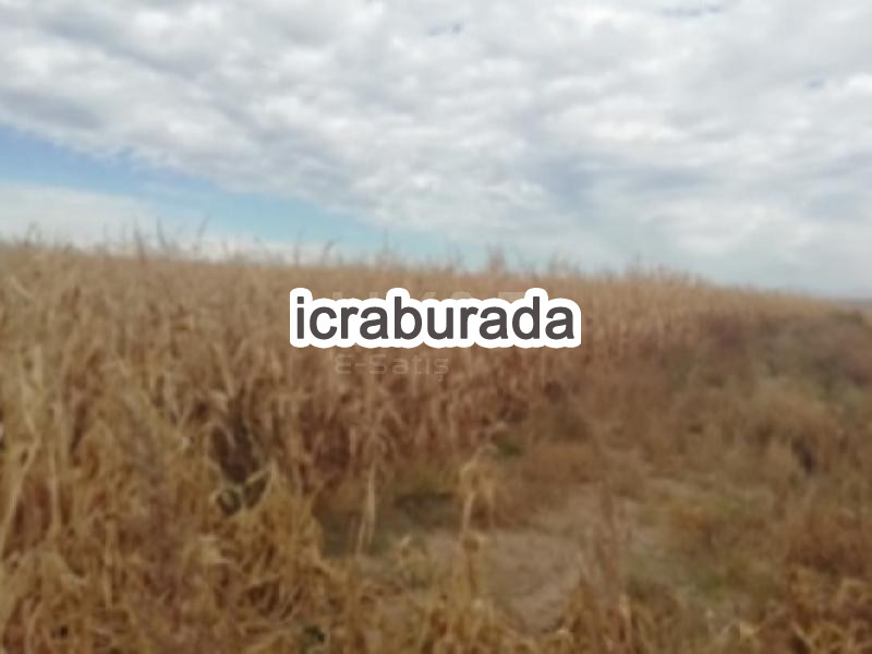 icralık  m2 Tarla Belirtilmedi Belirtilmedi Belirtilmedi