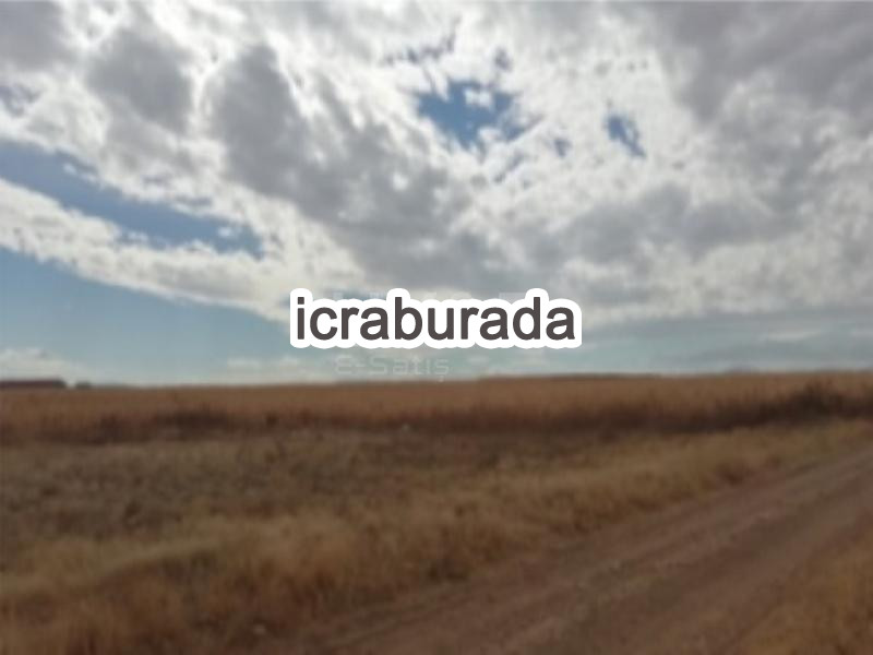 icralık  m2 Tarla Belirtilmedi Belirtilmedi Belirtilmedi
