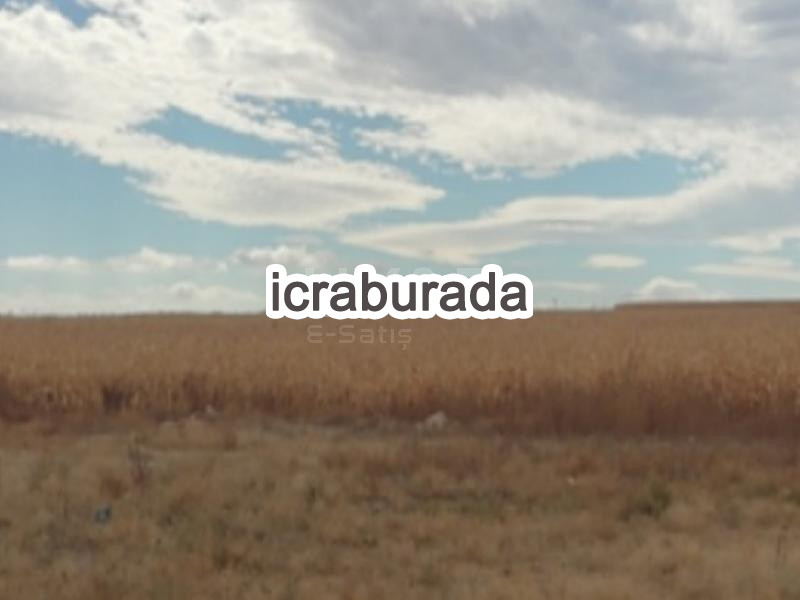 icralık  m2 Tarla Belirtilmedi Belirtilmedi Belirtilmedi