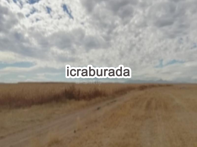 icralık  m2 Tarla Belirtilmedi Belirtilmedi Belirtilmedi