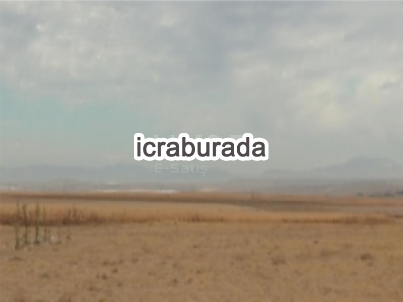 icralık  m2 Tarla Belirtilmedi Belirtilmedi Belirtilmedi