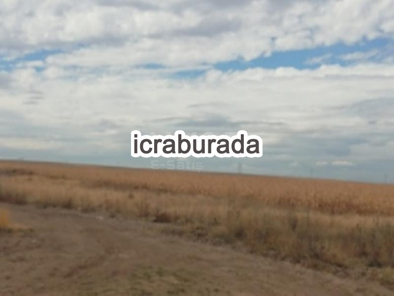 icralık  m2 Tarla Belirtilmedi Belirtilmedi Belirtilmedi