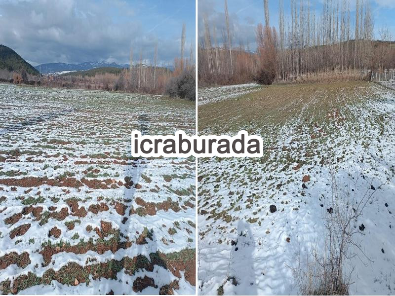 icralık  m2 Tarla Uşak Banaz Banaz